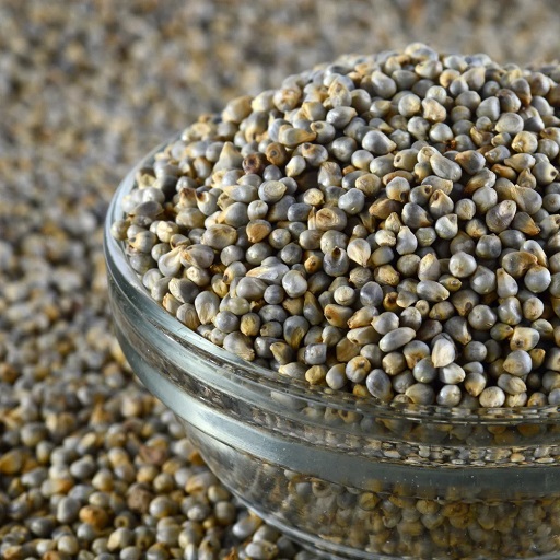 Organic Bajra (Pearl Millet)